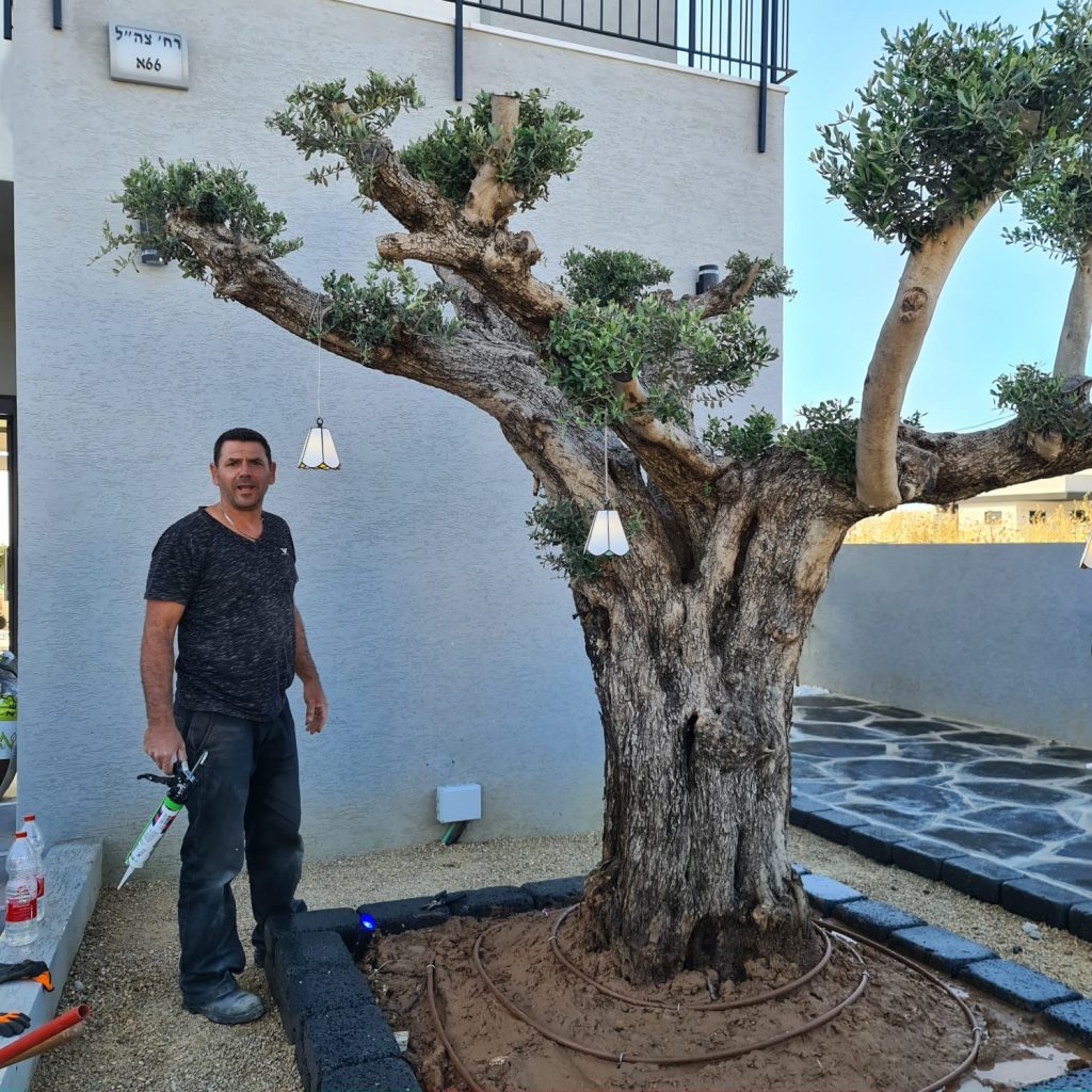 חשמלאי מוסמך בת ים קובי עבודות חשמל